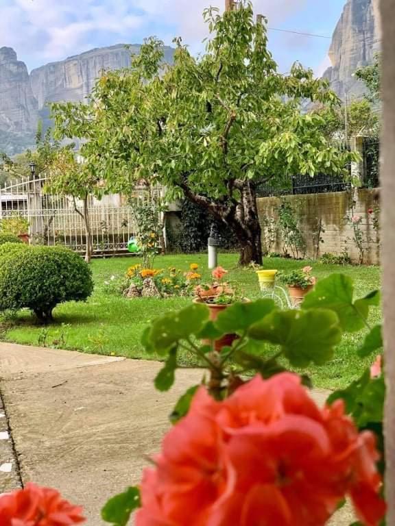 卡兰巴卡Meteora View Garden公寓 外观 照片